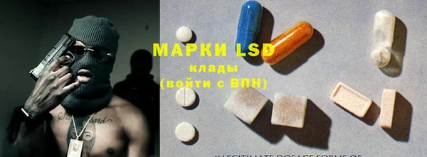 стафф Новозыбков