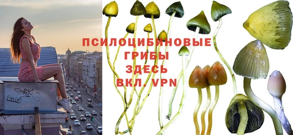 соль курить ск Балахна
