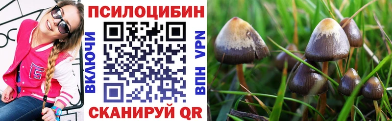 Псилоцибиновые грибы ЛСД  omg зеркало  Теберда 